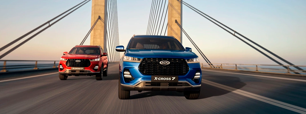 Купить XCITE в Краснодаре